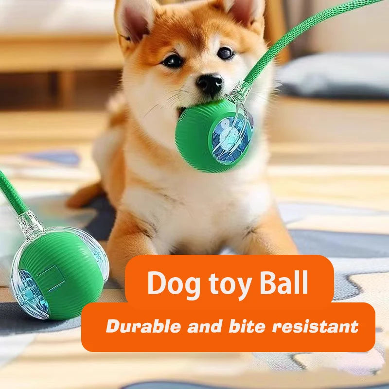 Automatic Rolling Dog Ball Toy — Rechargeable Smart Interactive Puppy Toy