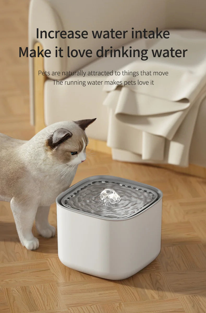 3L Cat Water Fountain — Auto-Filtration USB Electric Dispenser