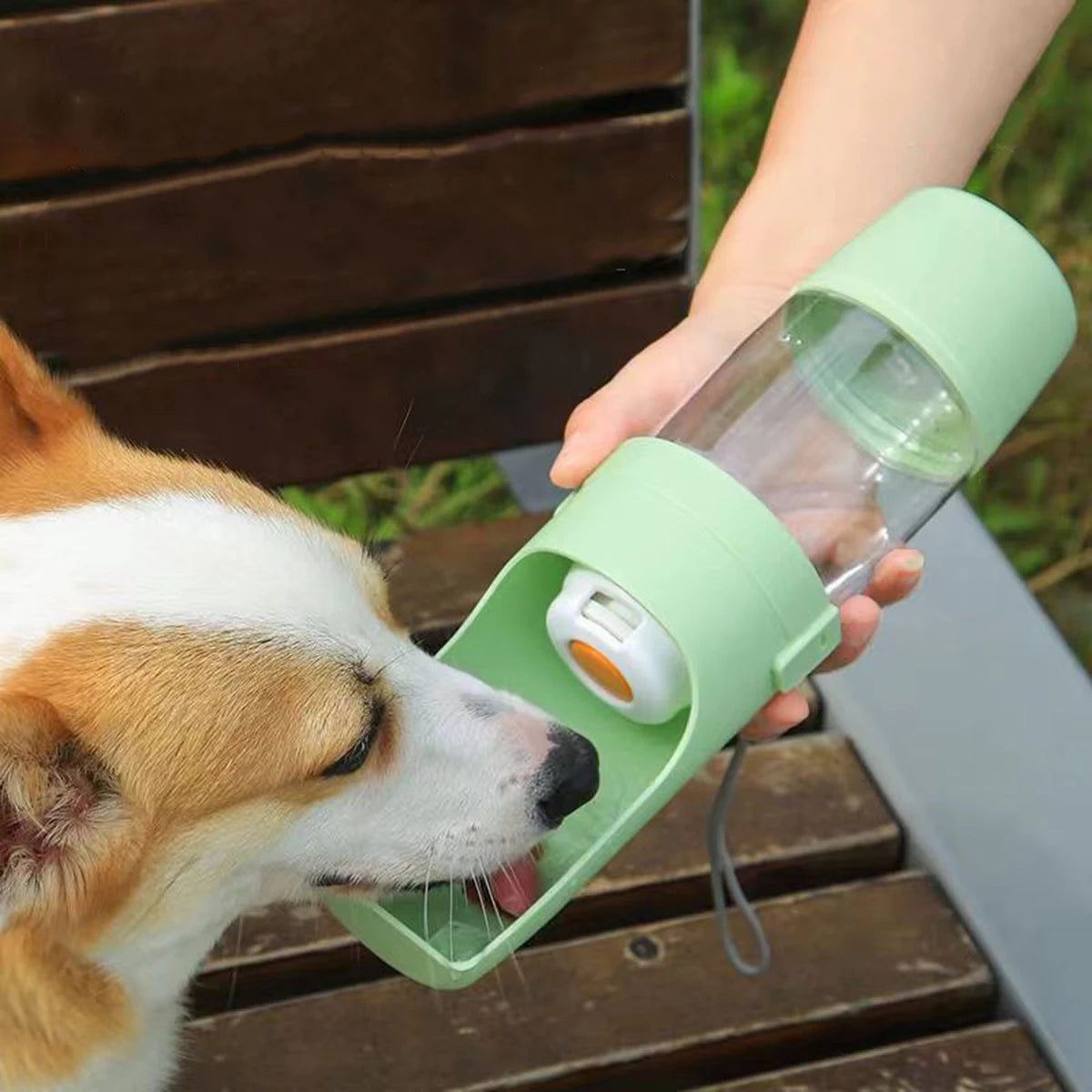 Dog Water Bottle 3-in-1