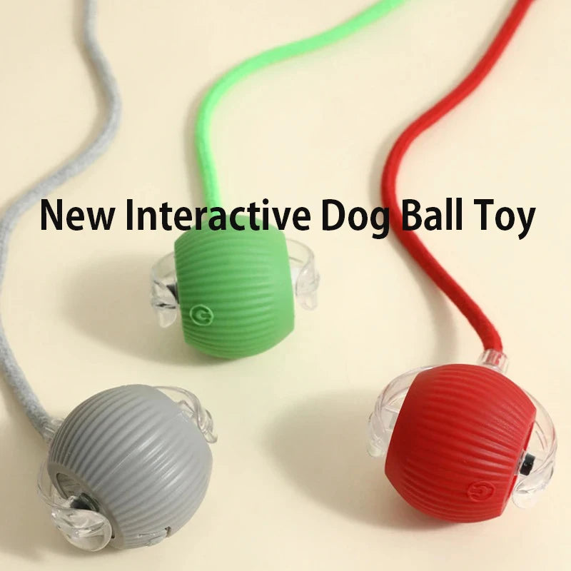 Automatic Rolling Dog Ball Toy — Rechargeable Smart Interactive Puppy Toy