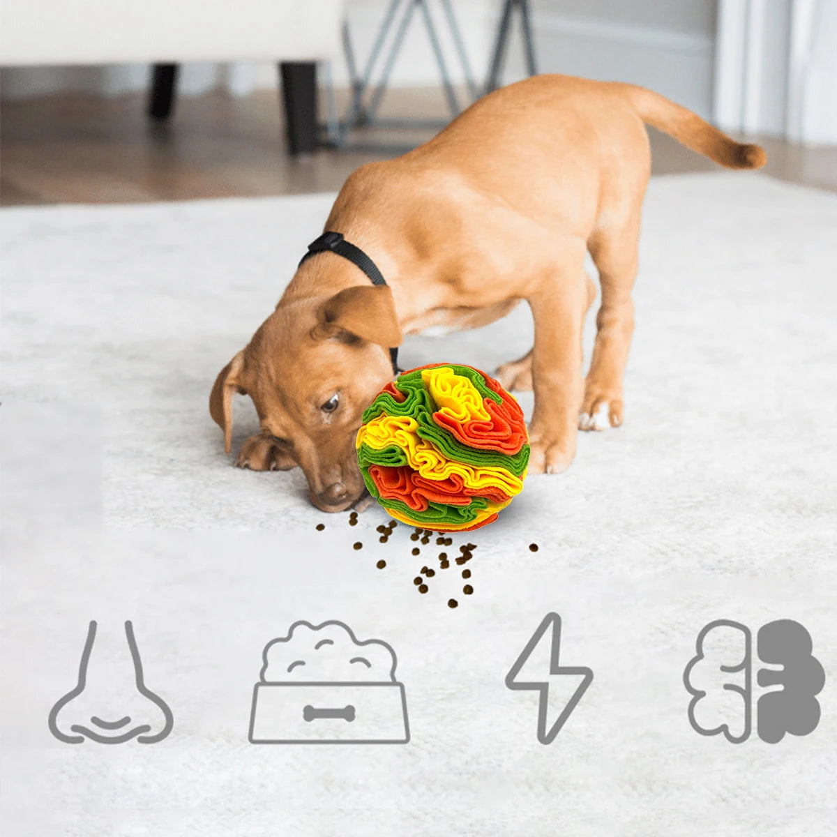 Furipo Snuffle Ball | Interactive Nose Work & Mental Enrichment Toy for Dogs