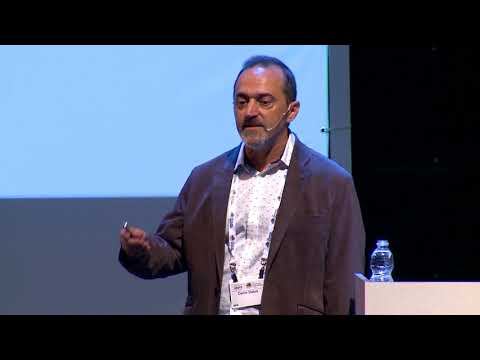 Dario Dekel - Progress in the Critical Path of the Development of Anion Exchange Membrane Fuel Cells